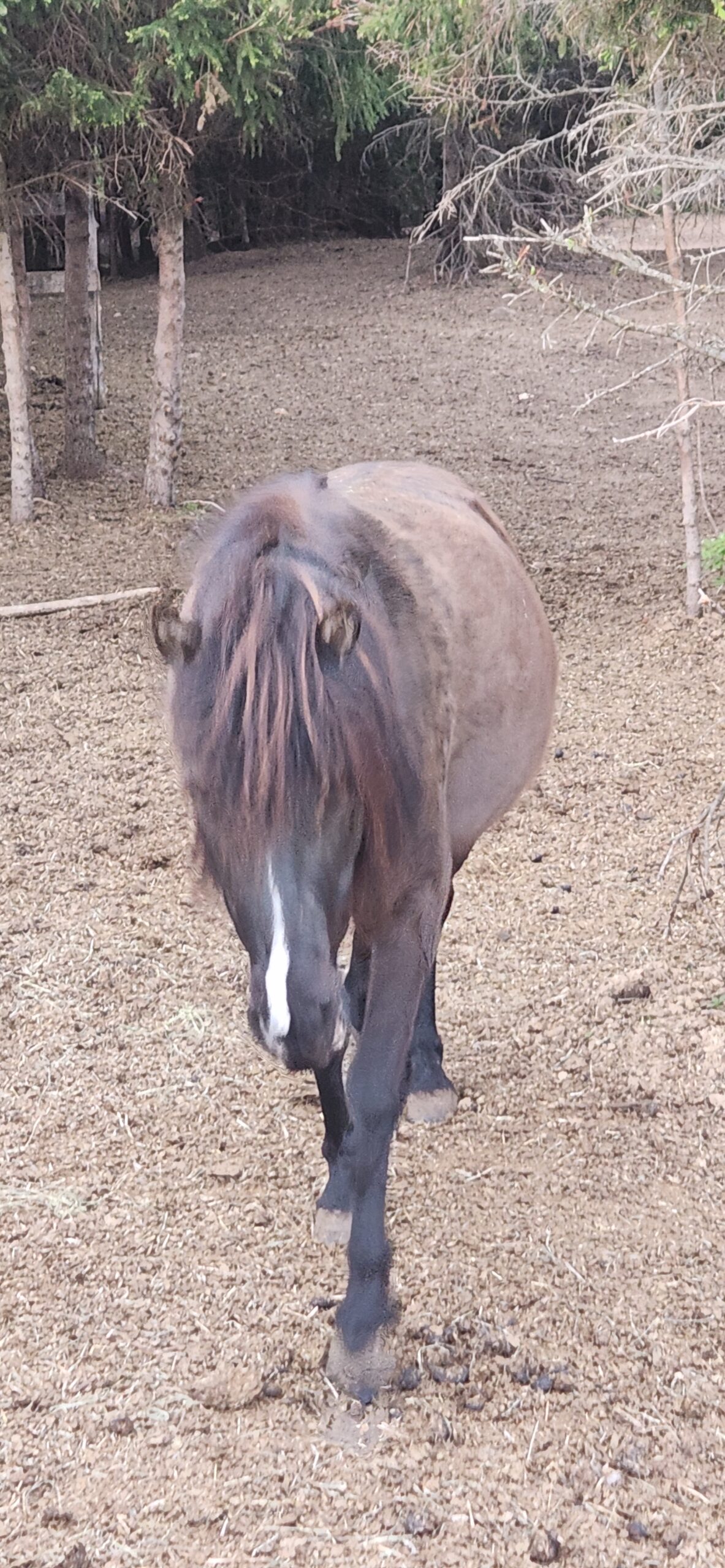 20250602_212558